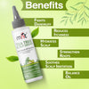 Tea Tree Anti-Dandruff Scalp Serum 100ml – Natural Treatment for Flaky, Itchy Scalp, Soothes, Nourishes, and Reduces Dandruff
